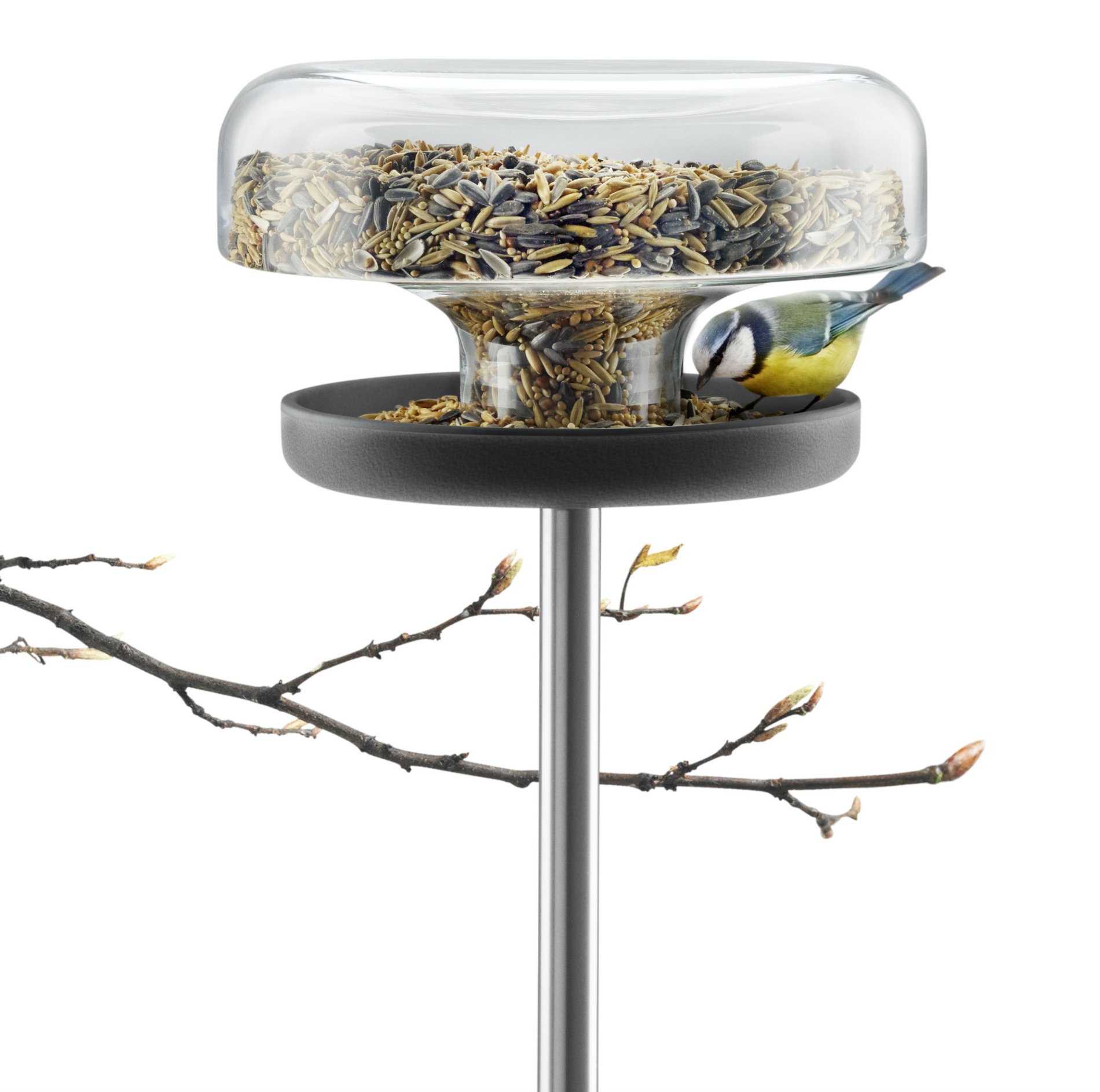 Self feeding bird discount feeder