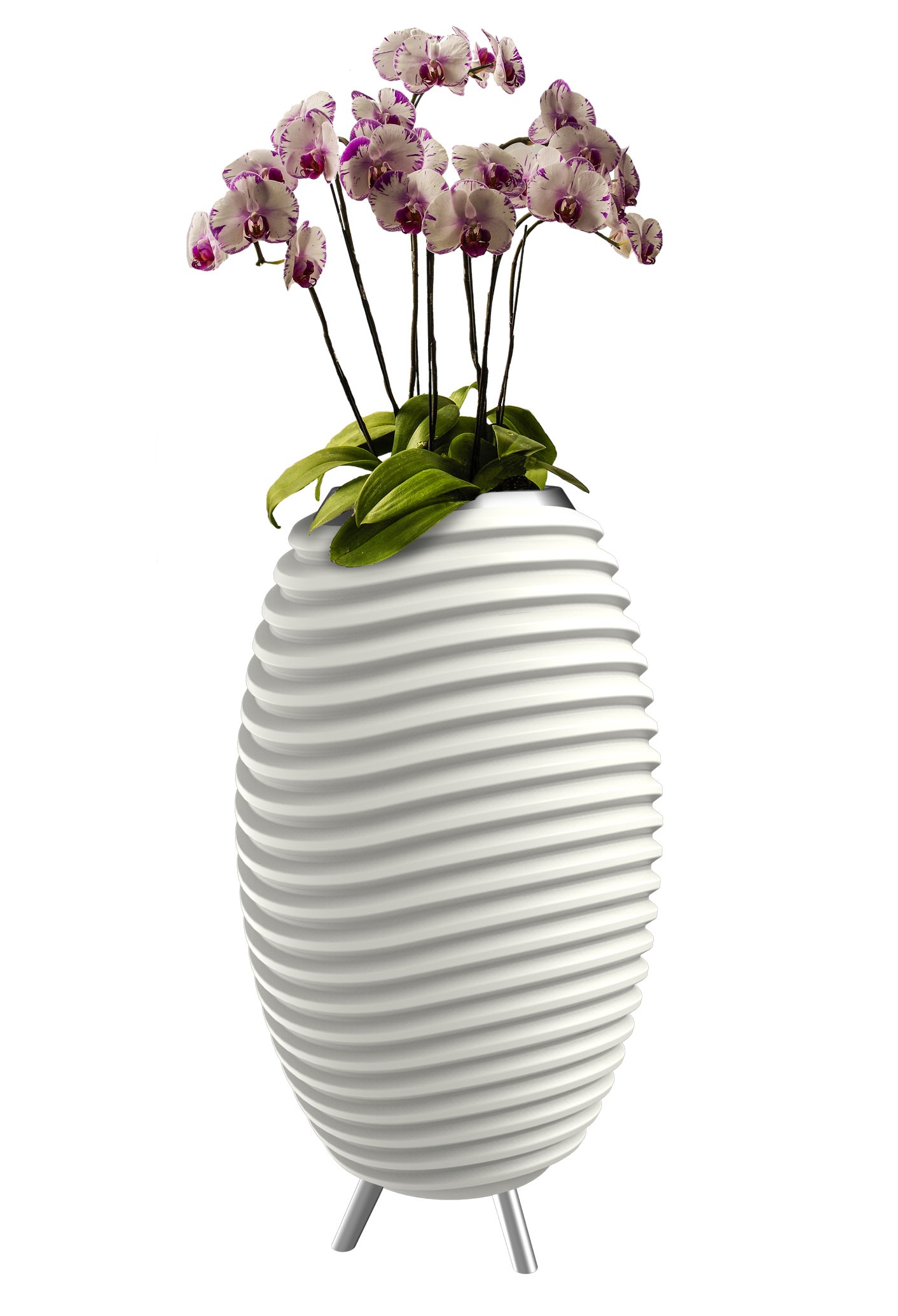 synergy 35 led bluetooth speaker