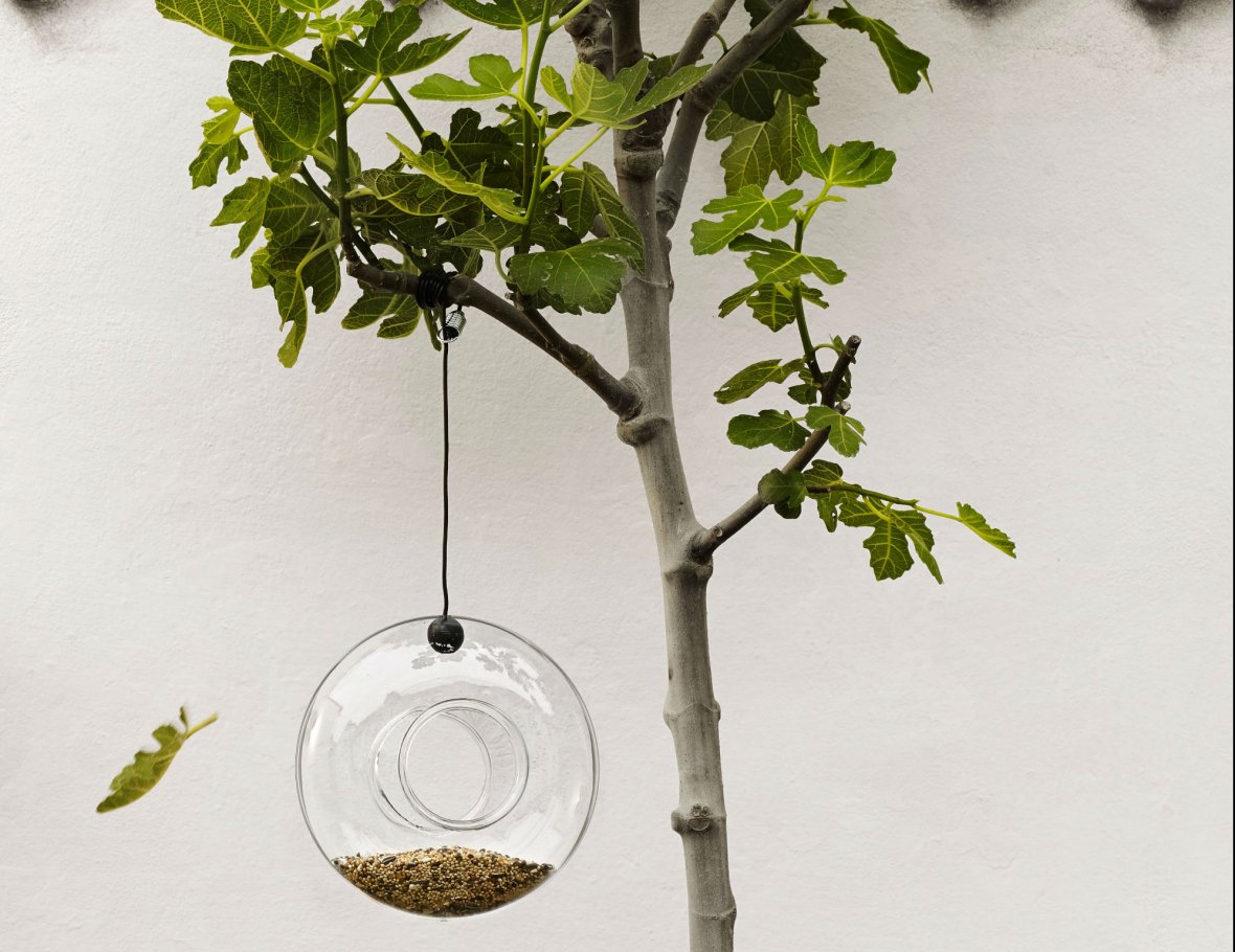 ring-shaped glass bird feeder