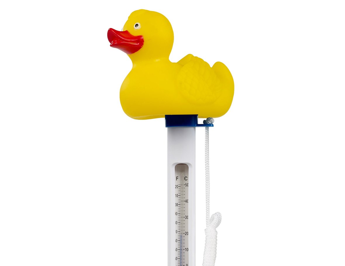 thermometer in the form of a duck