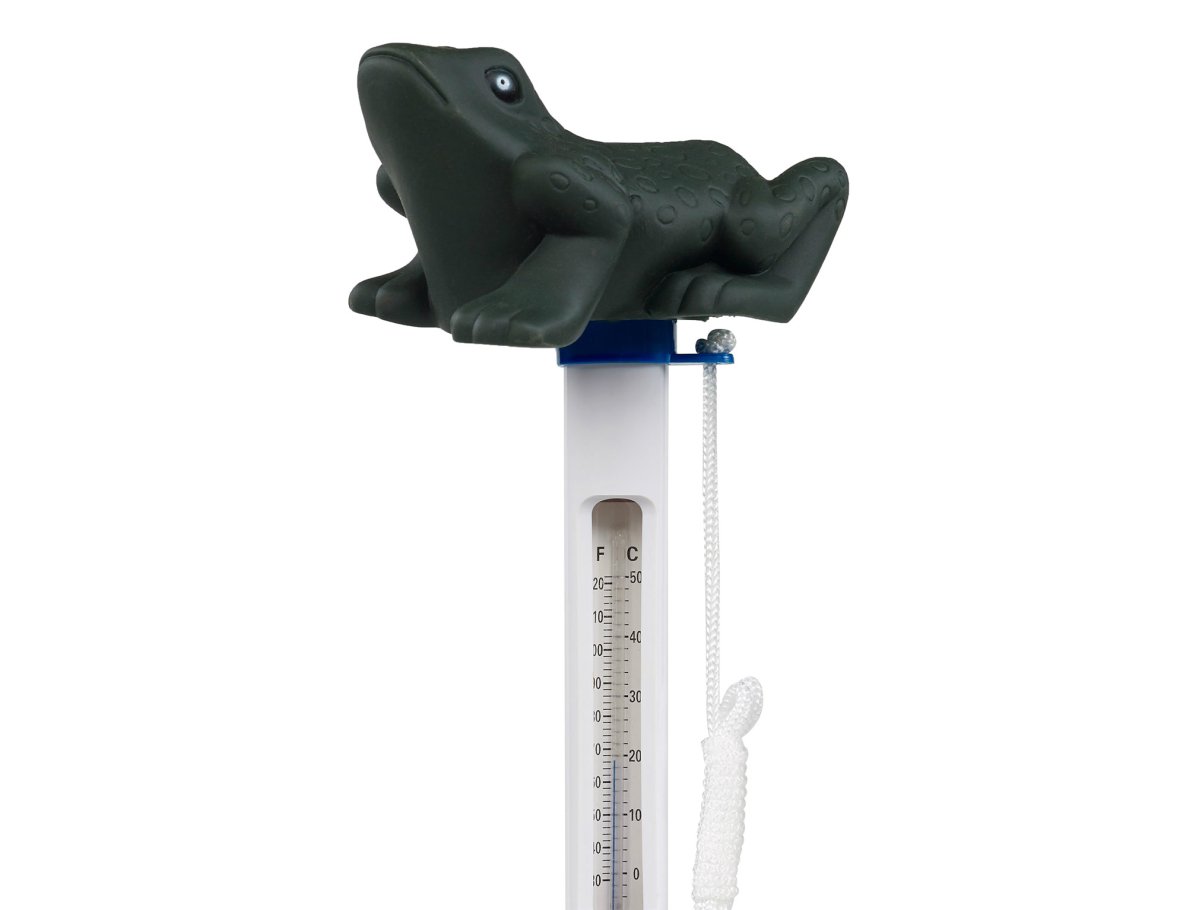 thermometer - Frog