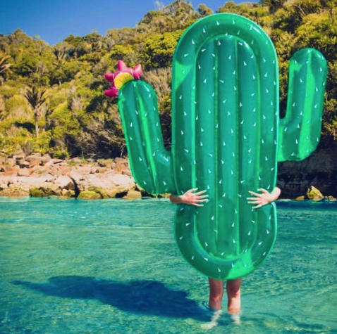Opblaasbare Cactus 