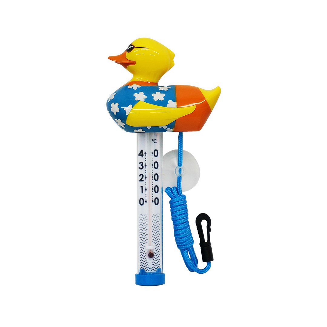 Thermometer colourful duck flowers