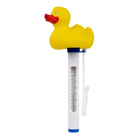 thermometer in the form of a duck